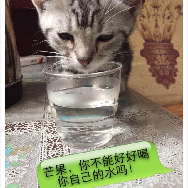 学历证书号多少位